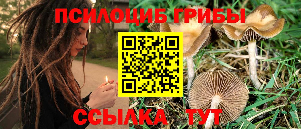Нижний Новгород  Псилоцибиновые грибы ЛСД  Галлюциногенные грибы мицелий  Вход с VPN 
